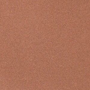 Meet your Posher, Ayrisha